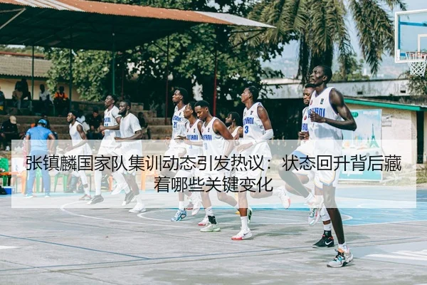 张镇麟国家队集训动态引发热议：状态回升背后藏着哪些关键变化